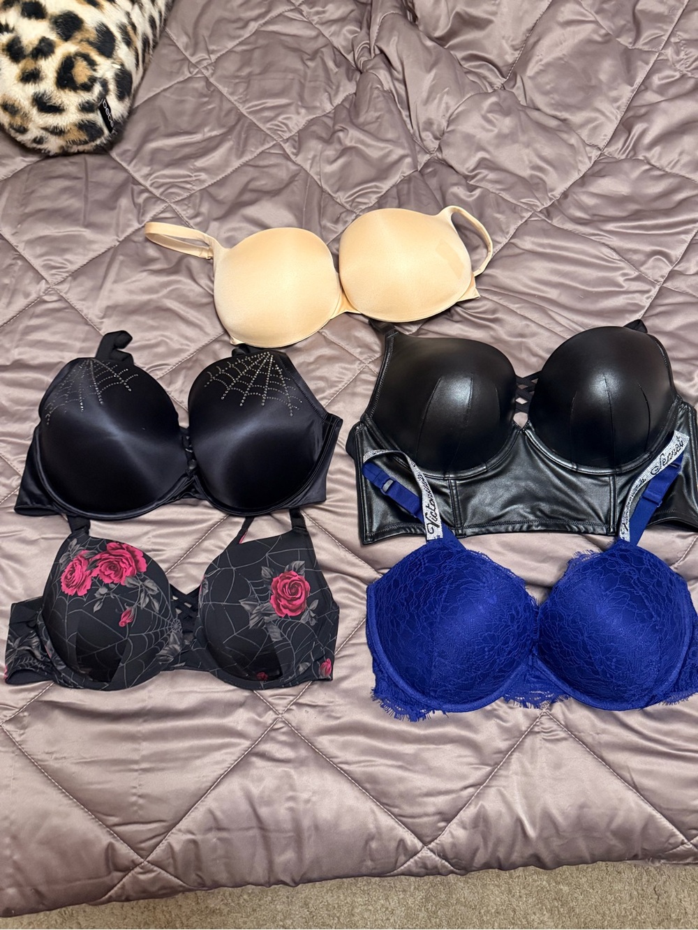 Women’s Lace & Satin Push-Up Bra Collection - Blue, Black, Beige, Floral